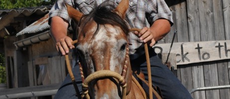 tatanka ranch pferd reiter 1